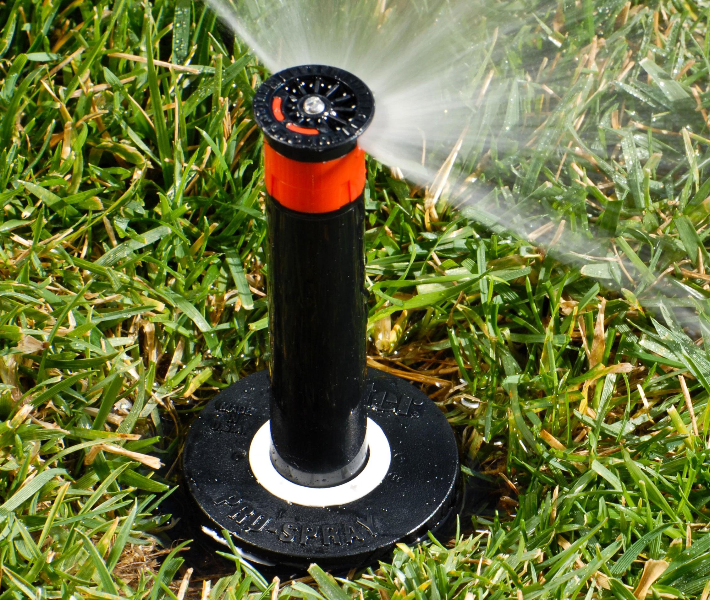 Hunter Pro-Spray head popped up out of the grass spraying a fan of water