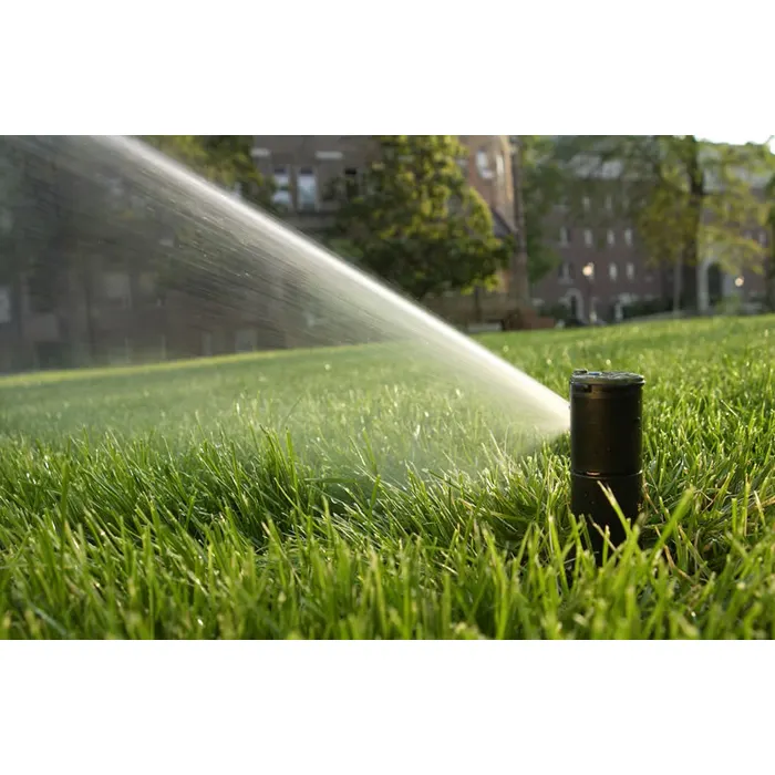 Rain Bird 5004 rotor popped up and throwing a stream of water across a green lawn