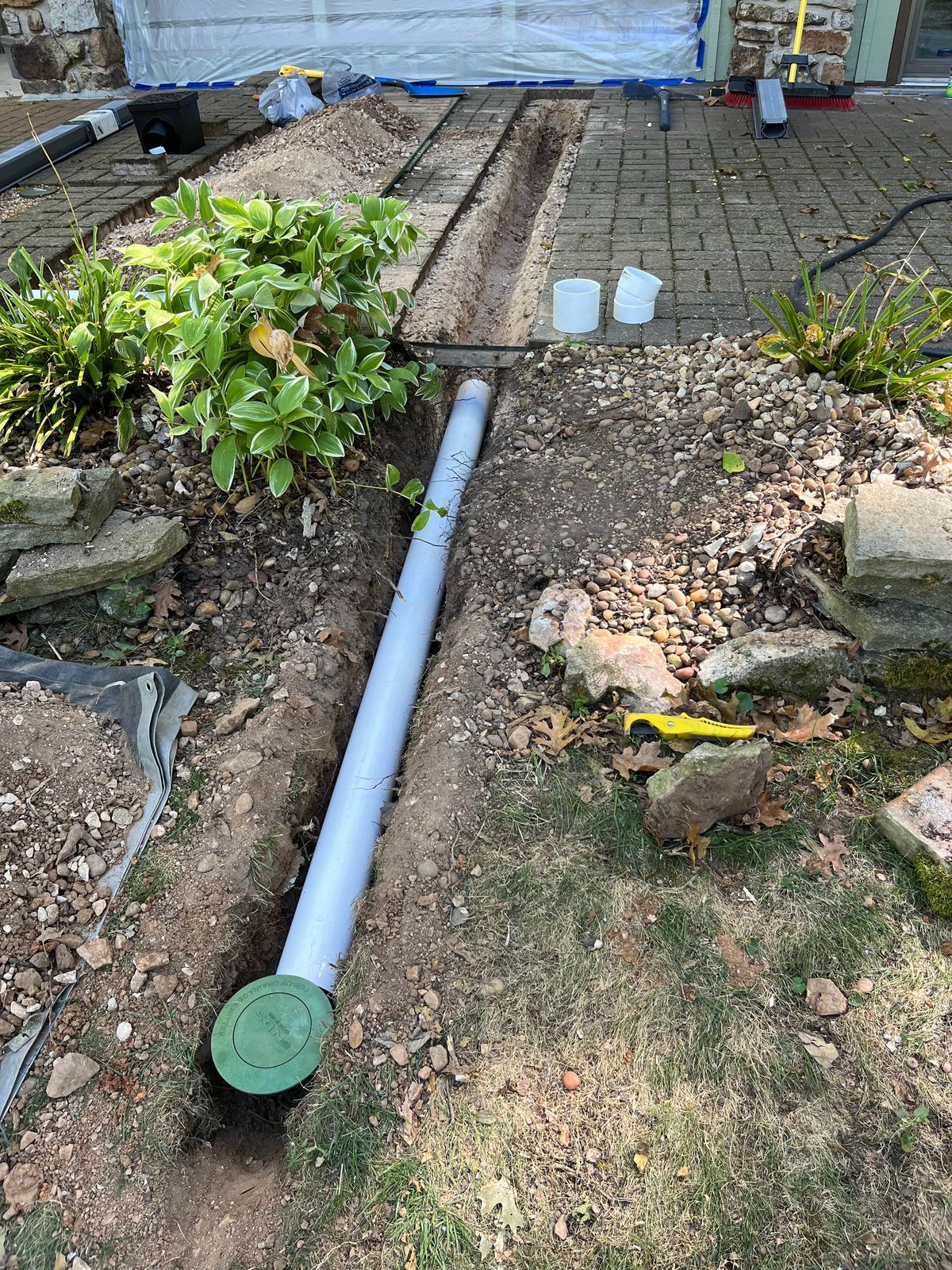 White PVC drain pipe laid in a trench through a landscape bed, ending at a green pop-up drainage emitter